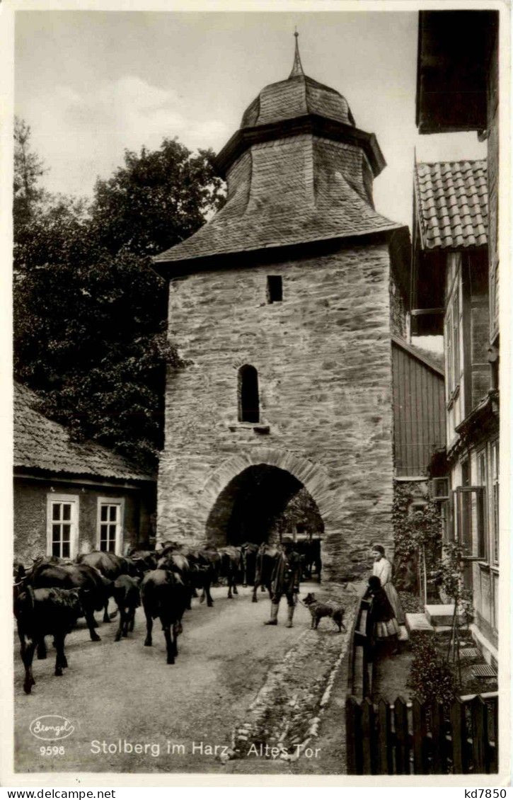 Stolberg/Harz . Altes Tor - Stolberg (Harz)