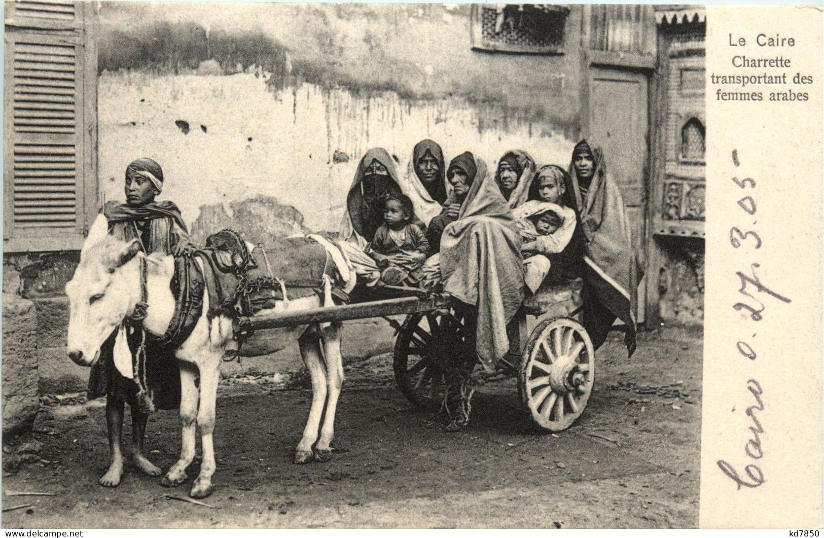 Caire - Charette Transportant Des Femmes Arabes - Caïro