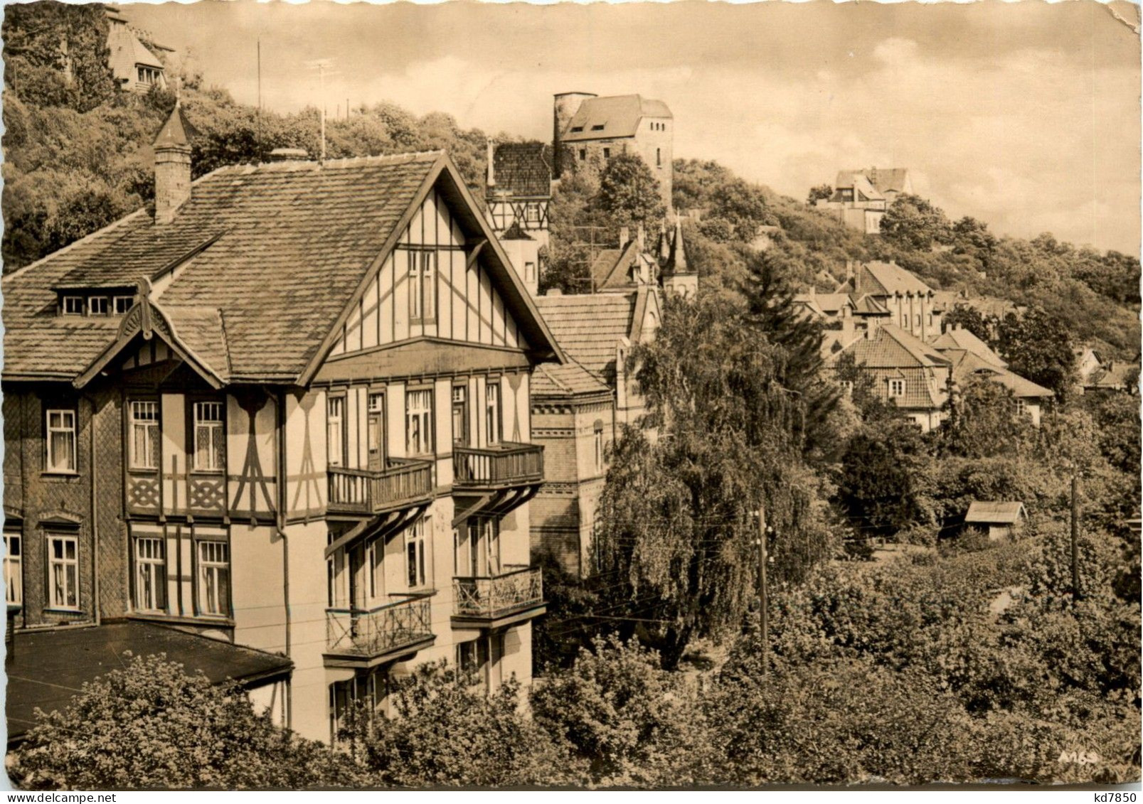 Bad Frankenhausen/Kyffh. - Blick Zum Weinberg - Kyffhäuser