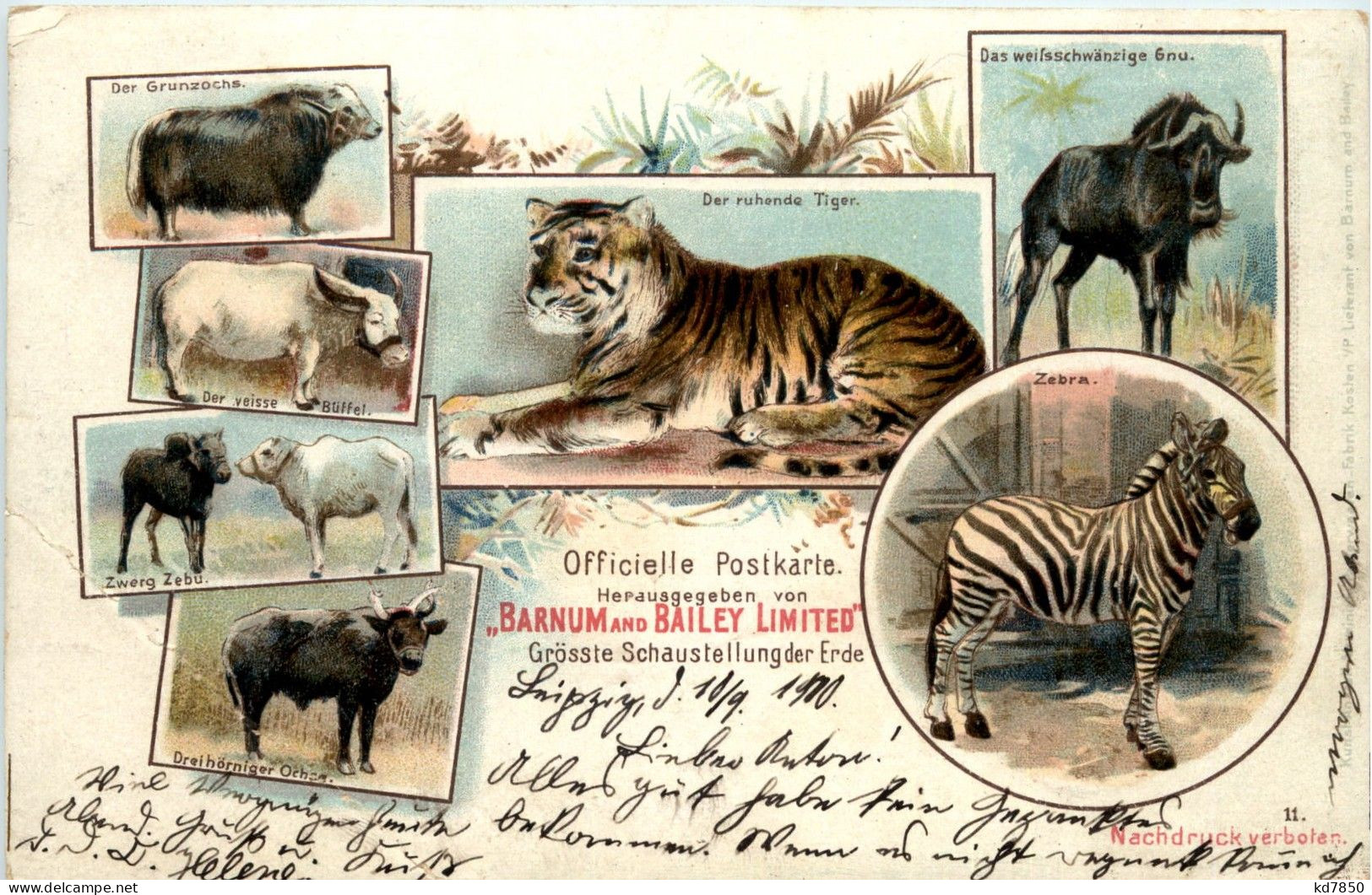 Barnum And Bailey Limited - Tiger Zebra - Litho - Circus