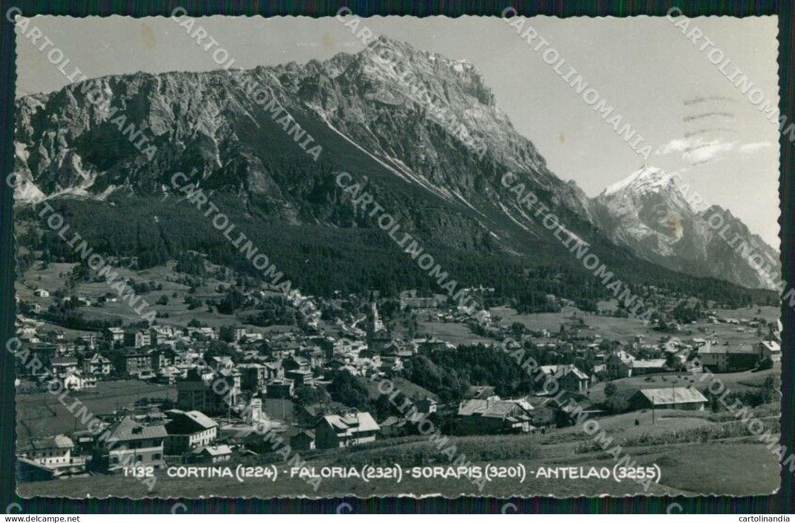 Belluno Cortina D'Ampezzo Faloria Sorapis Antelao Foto Cartolina MX3797 - Belluno