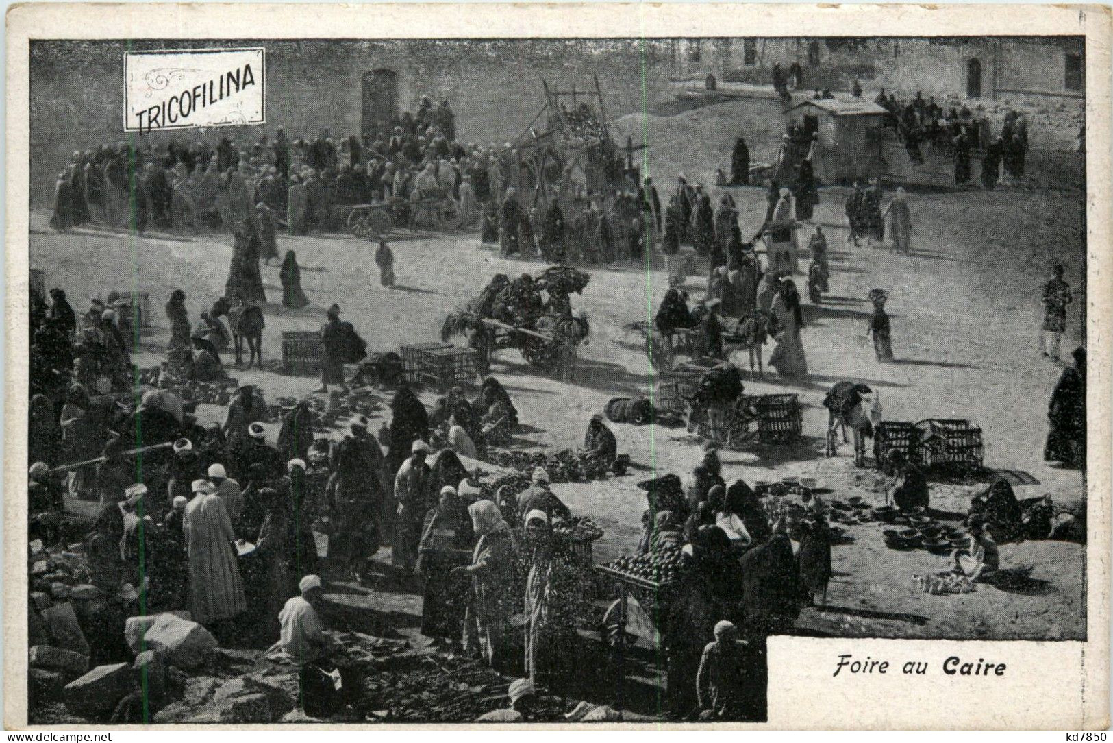 Foire Au Caire - Cairo