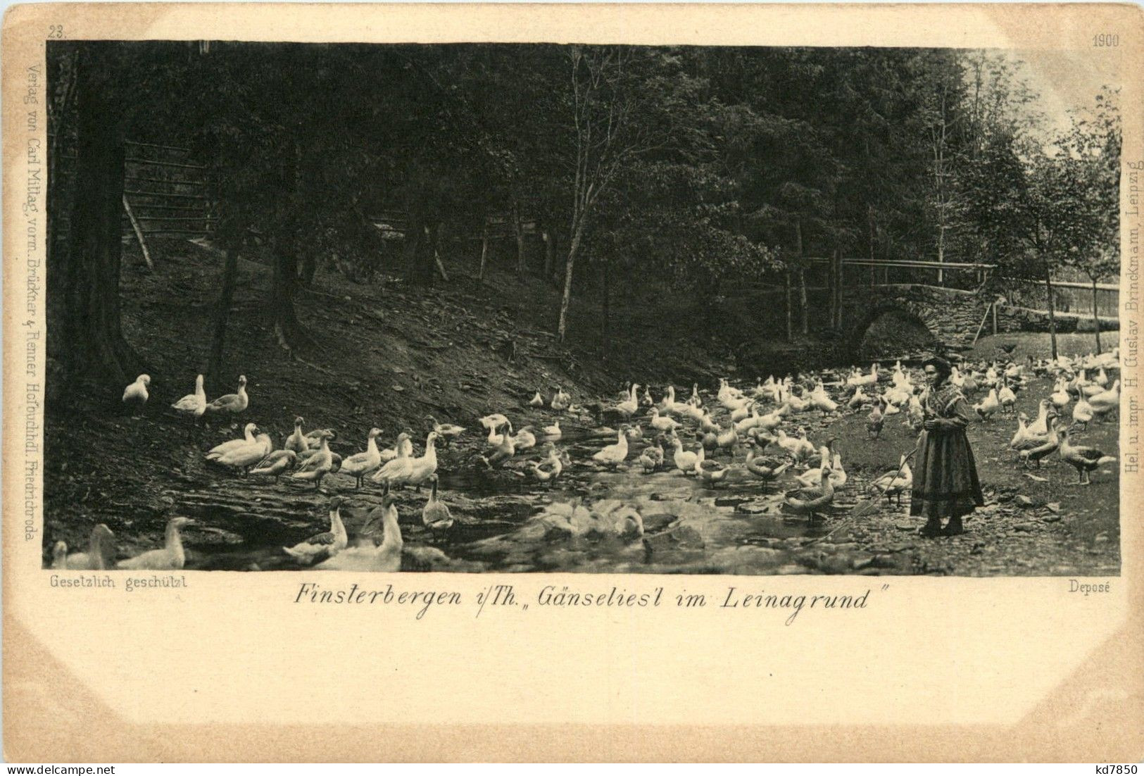 Finsterbergen - Gänseliesl Im Leinagrund - Friedrichroda