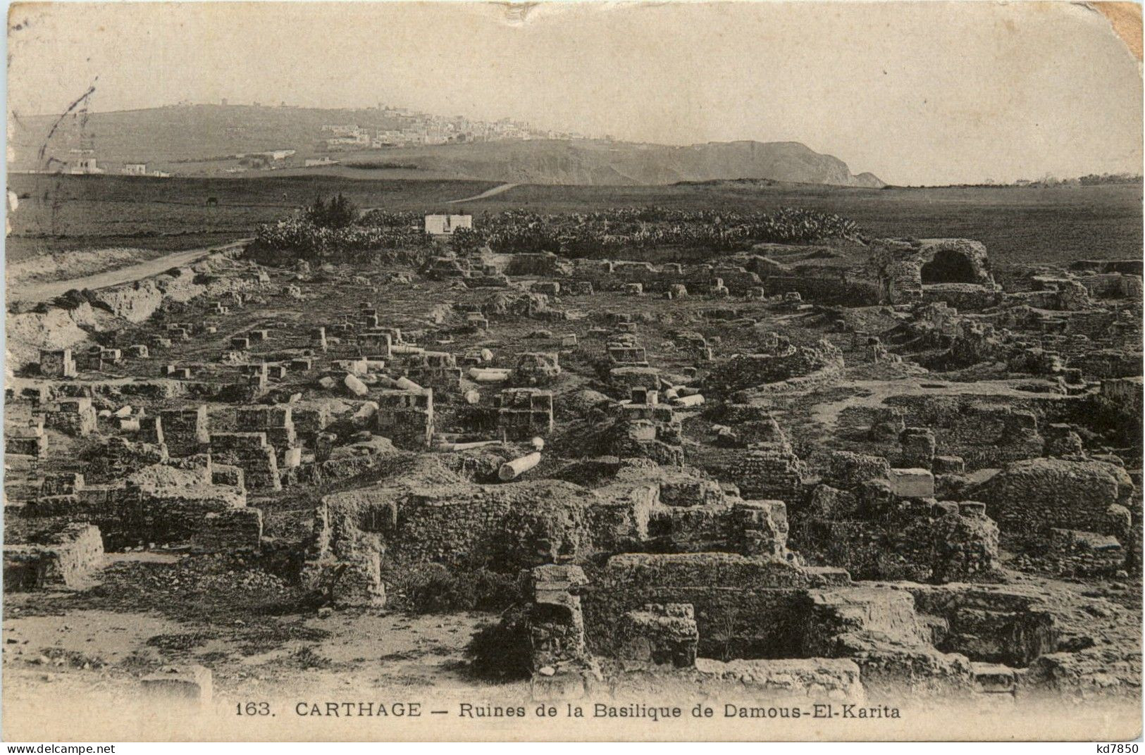 Carthage - Ruines De La Basilique - Túnez