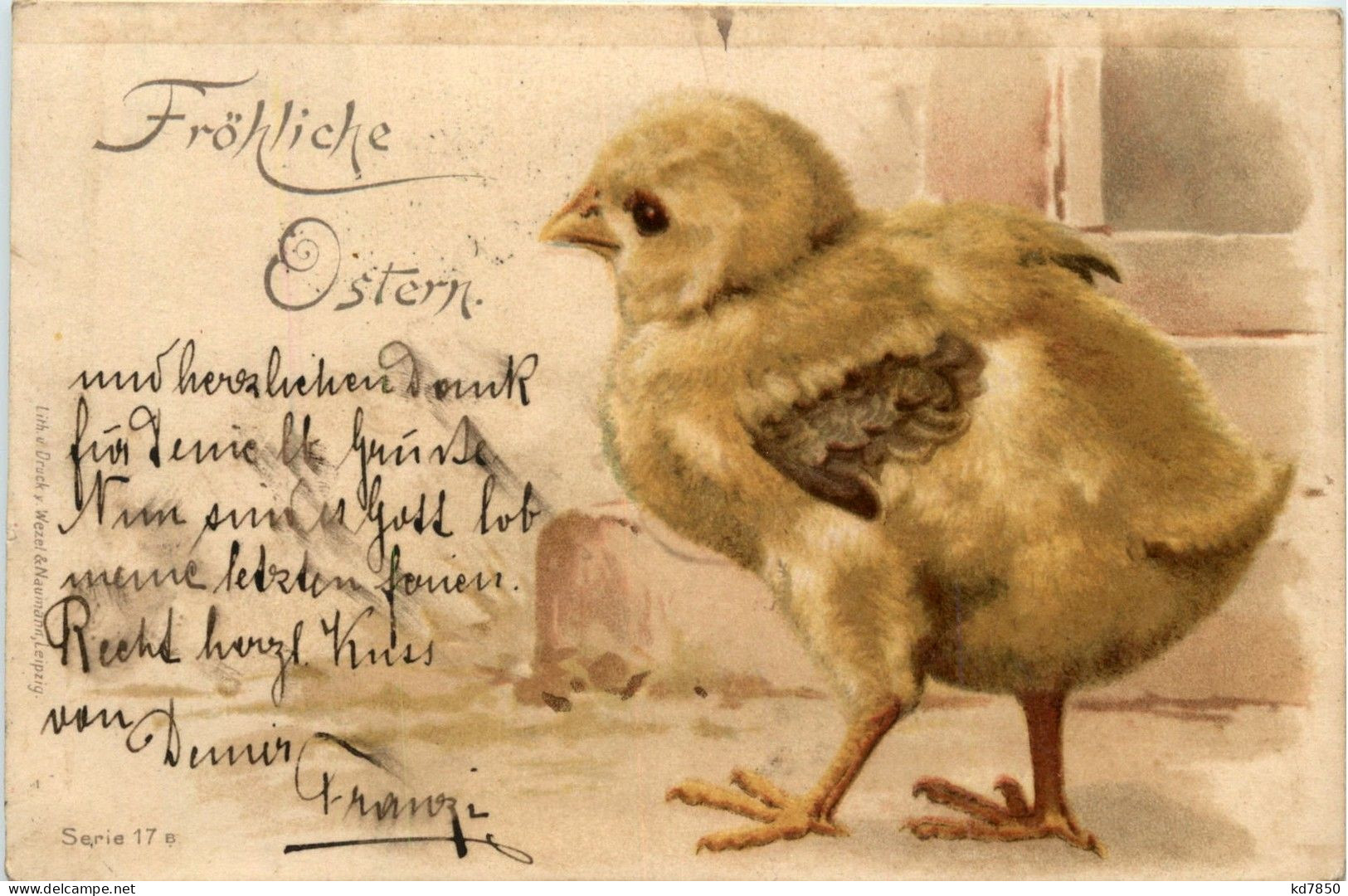 Ostern - Chicken - Pâques
