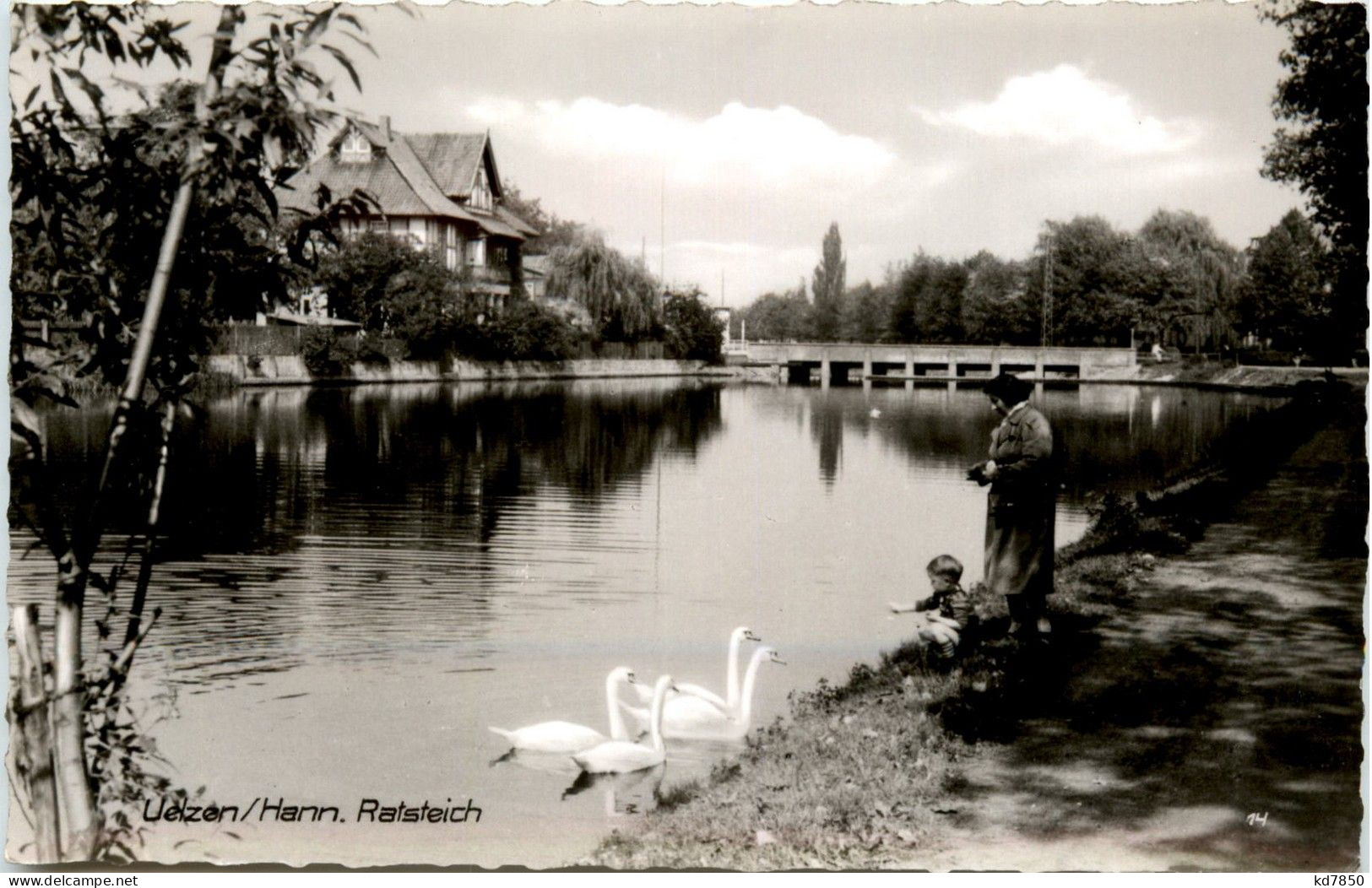 Uelzen - Ratsteich - Uelzen