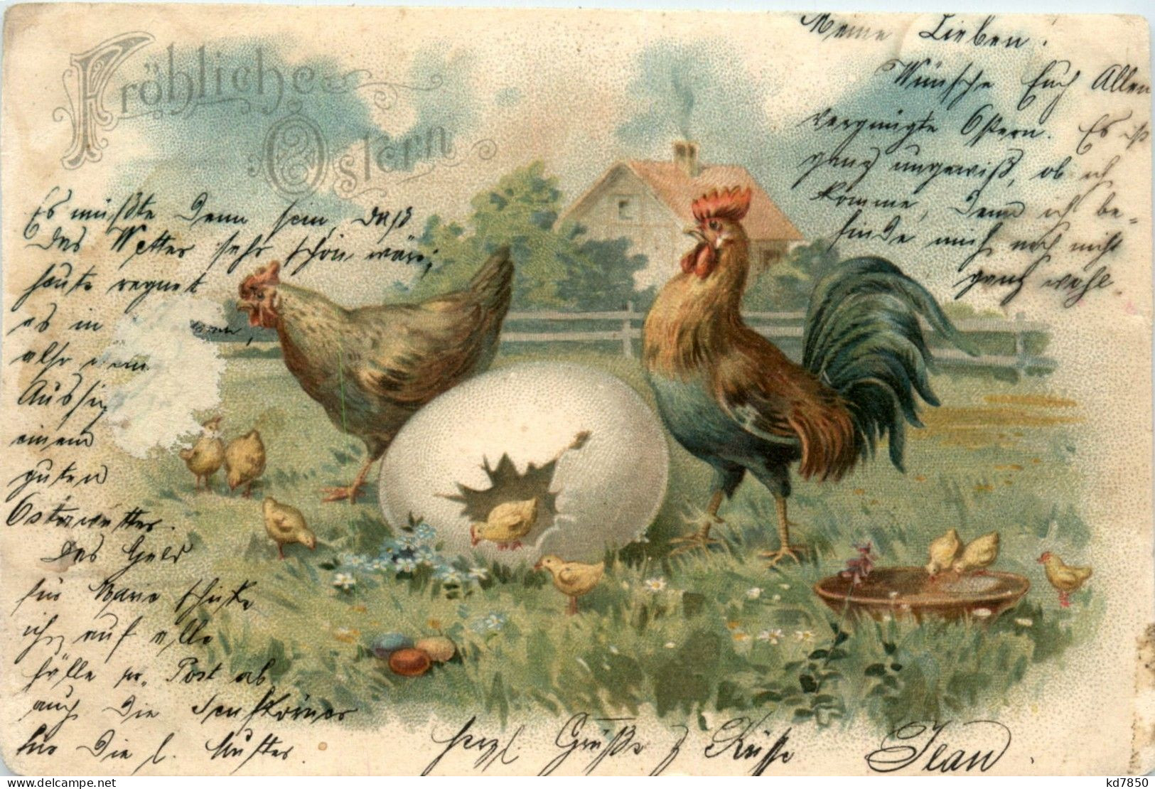 Ostern - Chicken - Pâques