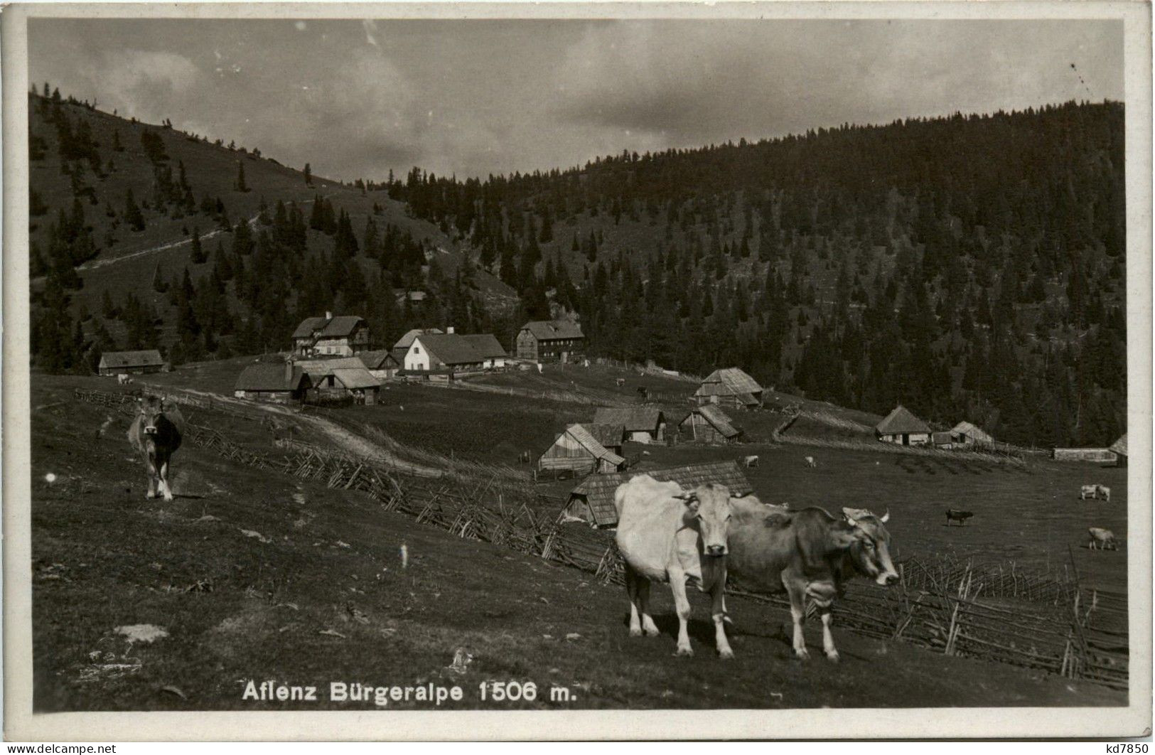 Aflenz/Steiermark - Sommerfrische Aflenz - Bürgeralpe - Alfenz