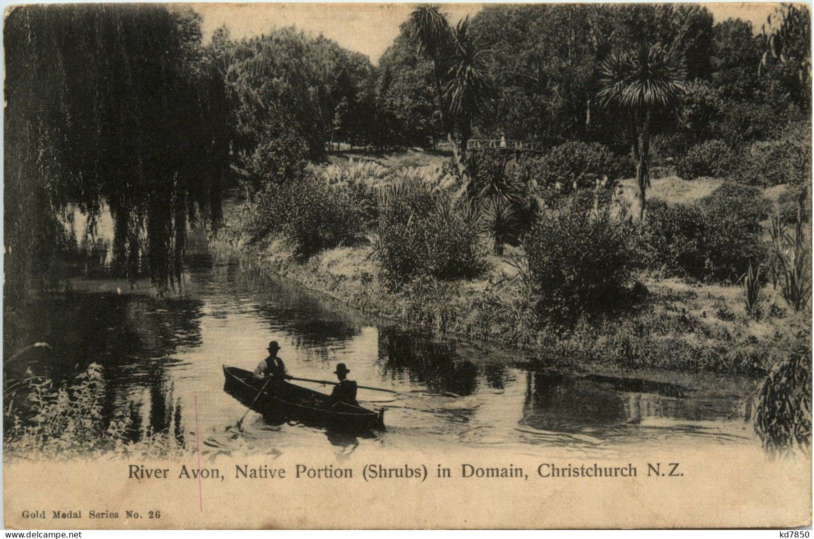 Christchurch - River Avon - Native Portion Shrubs In Domain - Nouvelle-Zélande