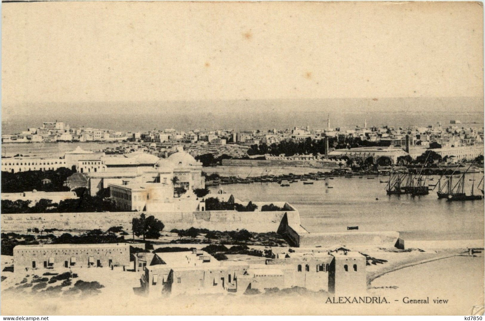 Alexandria - General View - Alexandrië