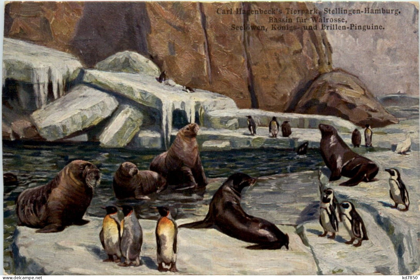 Stellingen - Carl Hagenbecks Tierpark - Walross Pinguin - Stellingen