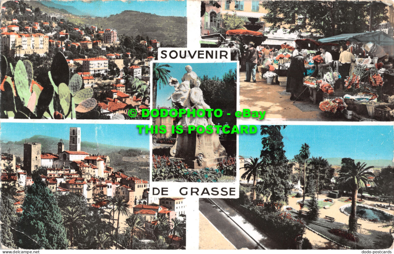 R492299 Souvenir De Grasse. S. E. P. T. RP. Multi View. 1961 - World