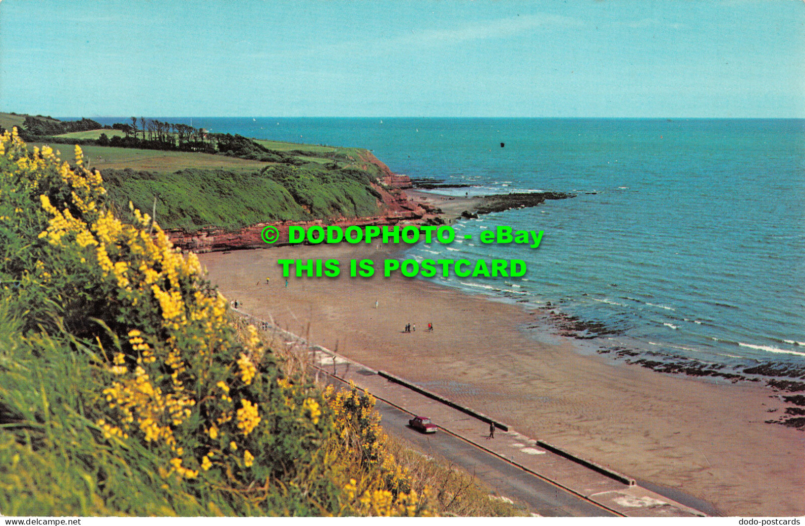 R493076 Exmouth. Devon. Town With Two Miles Of Golden Sands. Litho Canada. N.P.O - World