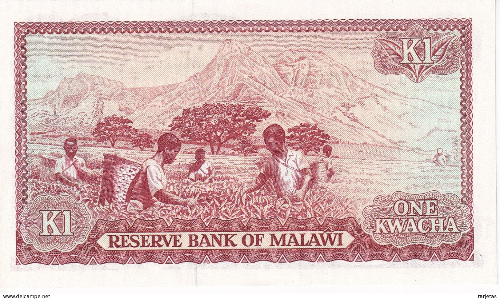 BILLETE DE MALAWI DE 1 KWACHA DEL AÑO 1984 SIN CIRCULAR (UNC) (BANKNOTE) - Malawi