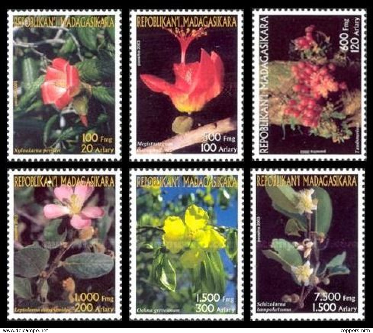 (078) Madagascar / 2003 / Flora / Plants / Pflanzen / Rare / Scarce  ** / Mnh  Michel 2598-2603 - Madagaskar (1960-...)