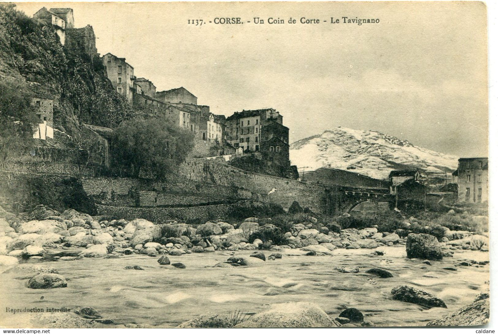 - 2B- CORSE -Un. Coin. De. Corté - Le Tavignano.           Collection. J.Moretti,Corté - Corte