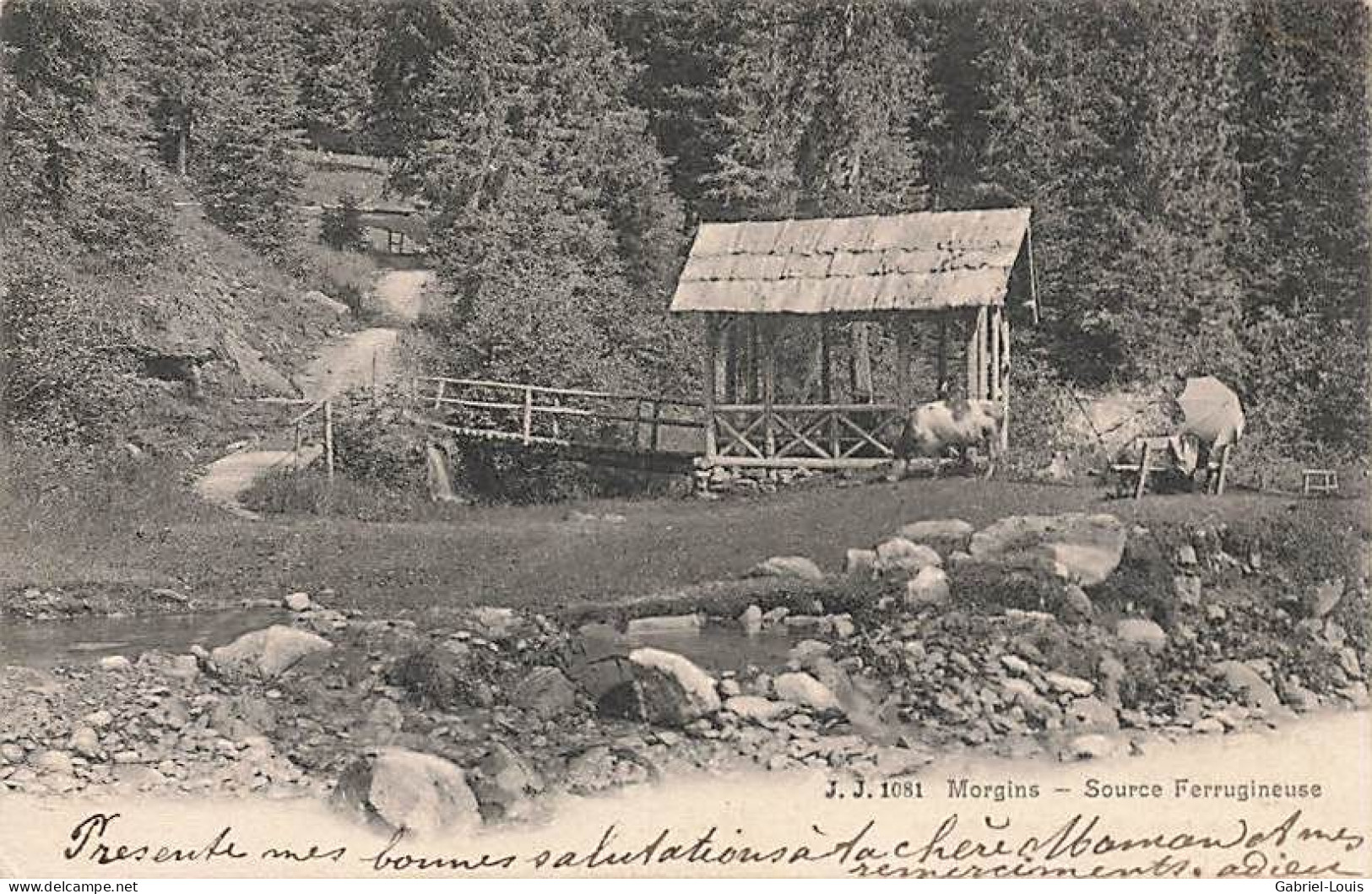 Morgins Source Ferrugineuse 1905 - Autres & Non Classés