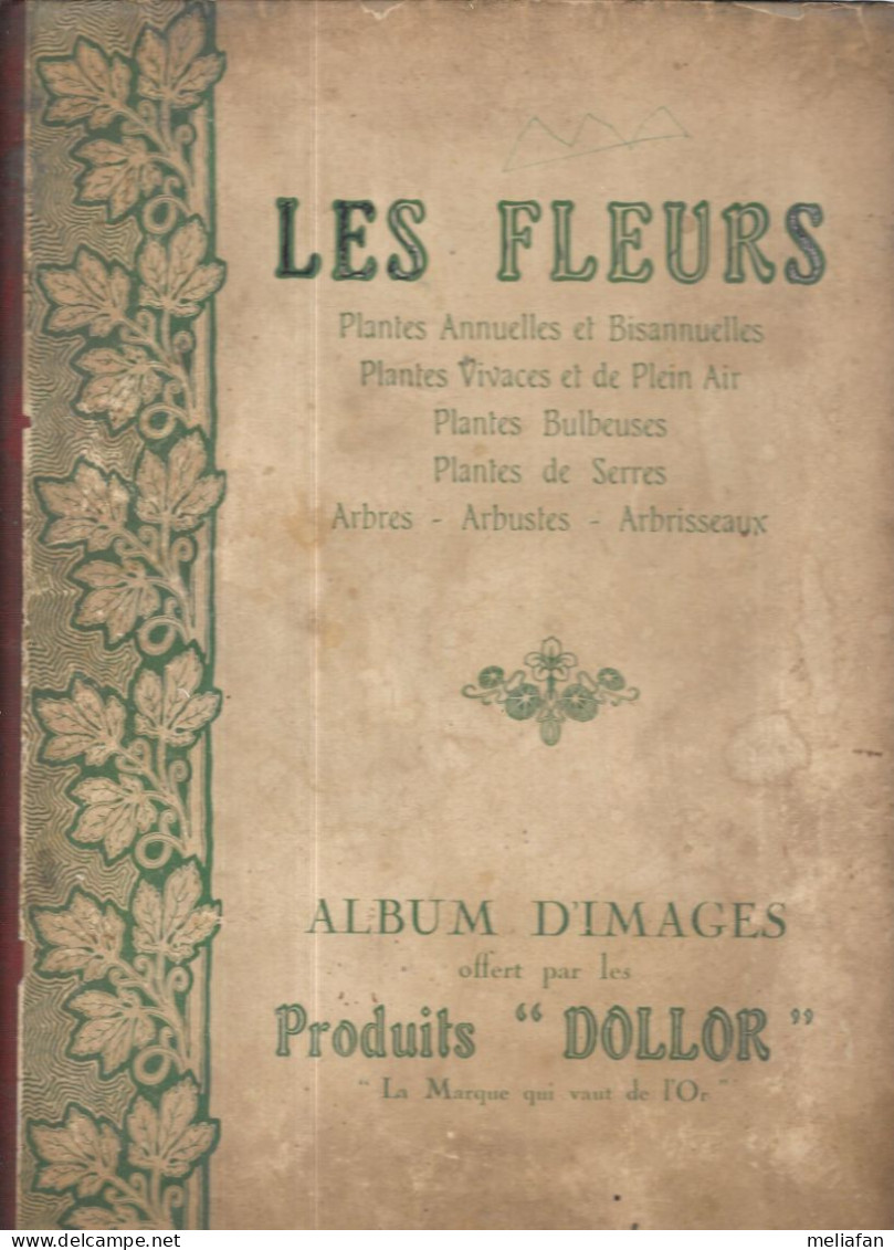 CS30 - ALBUM COLLECTEUR PRODUITS DOLLOR - LES FLEURS - MANQUE 15 IMAGES - Album & Cataloghi
