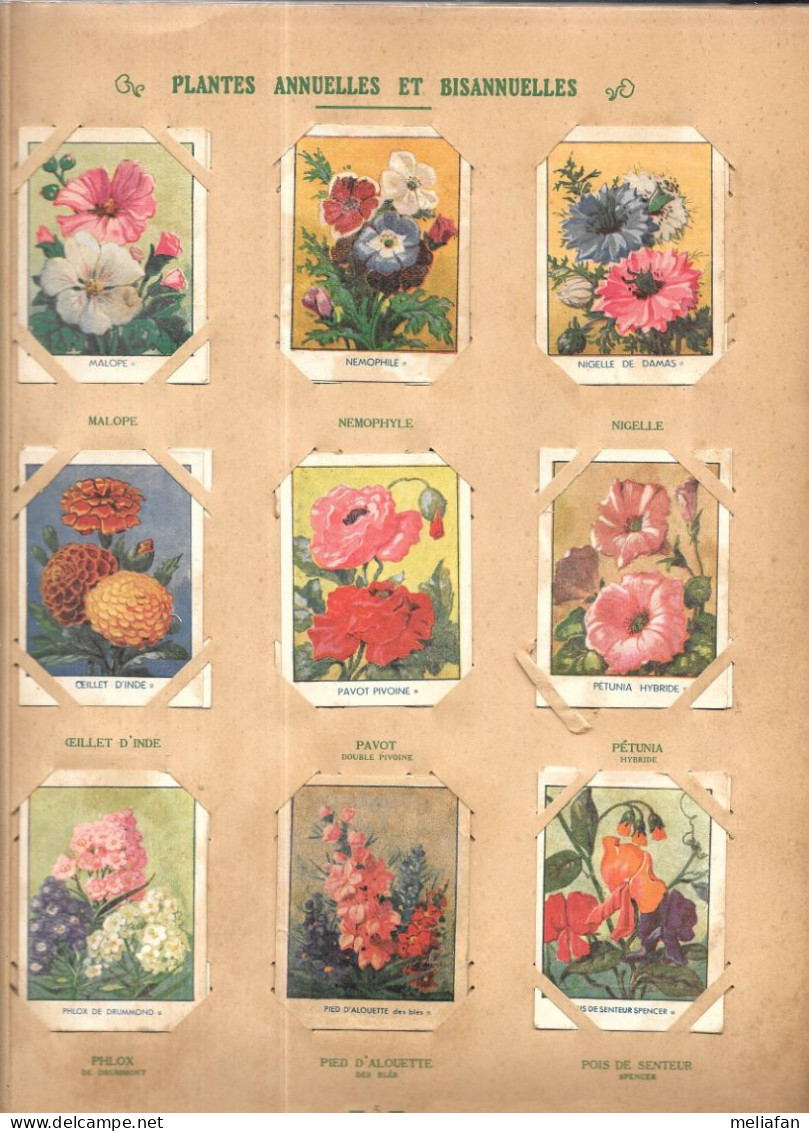 CS30 - ALBUM COLLECTEUR PRODUITS DOLLOR - LES FLEURS - MANQUE 15 IMAGES - Albums & Catalogues