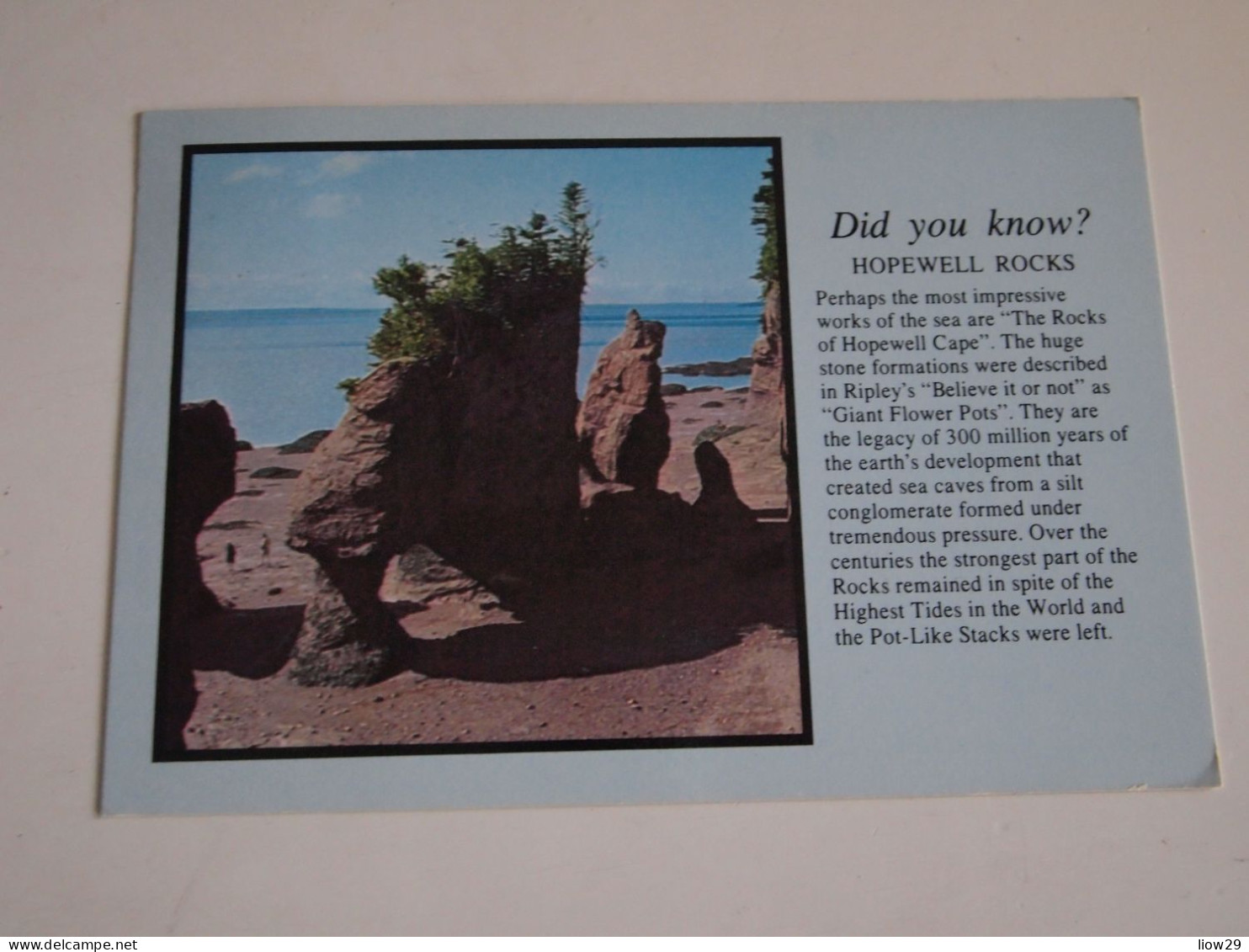 CPA Canada New Brunswick Hopewell Rocks - Sonstige & Ohne Zuordnung