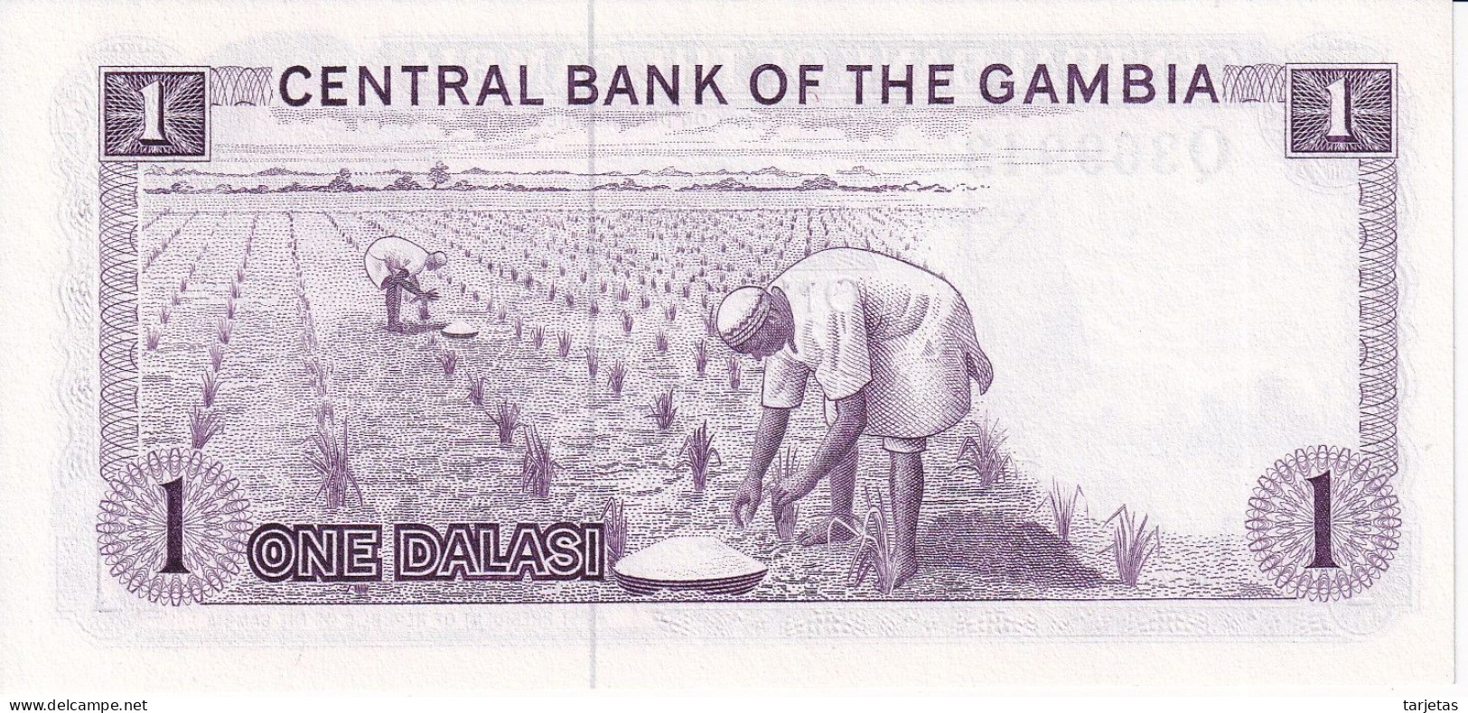 BILLETE DE GAMBIA DE 1 DALASI DEL AÑO 1971 SIN CIRCULAR (UNC) (BANKNOTE) - Gambie