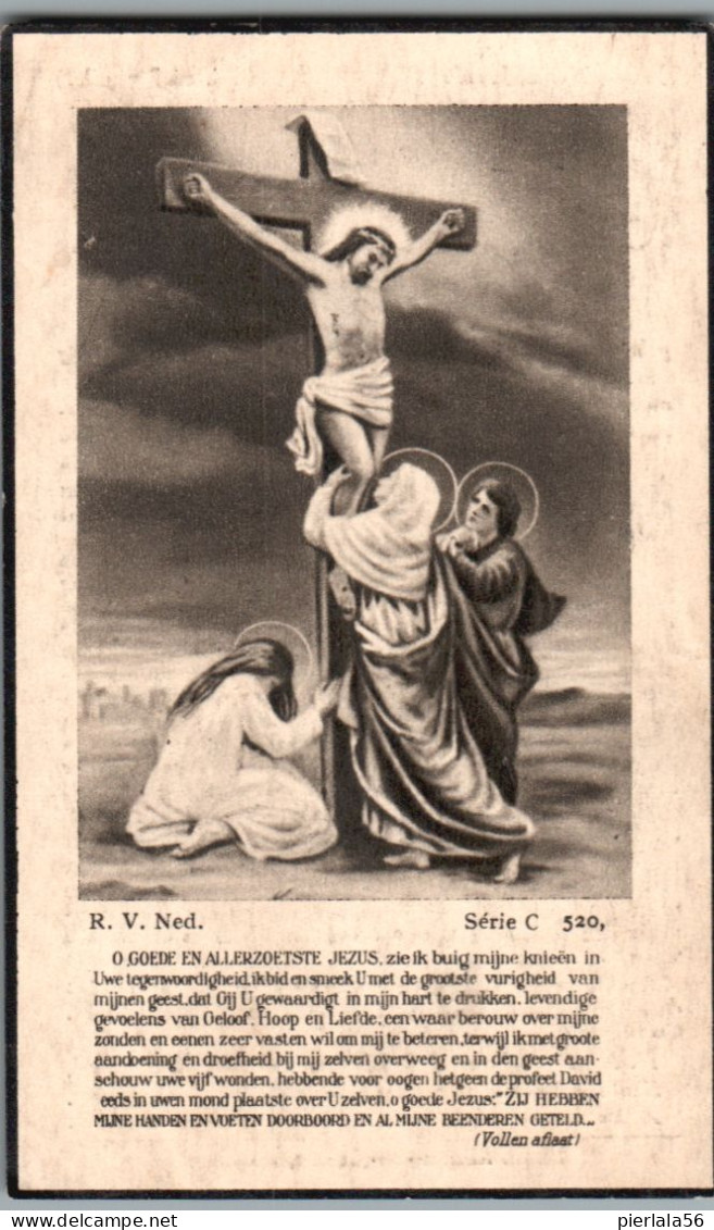 Bidprentje Halewijn - Seynhaeve Constant (1866-1940) - Images Religieuses