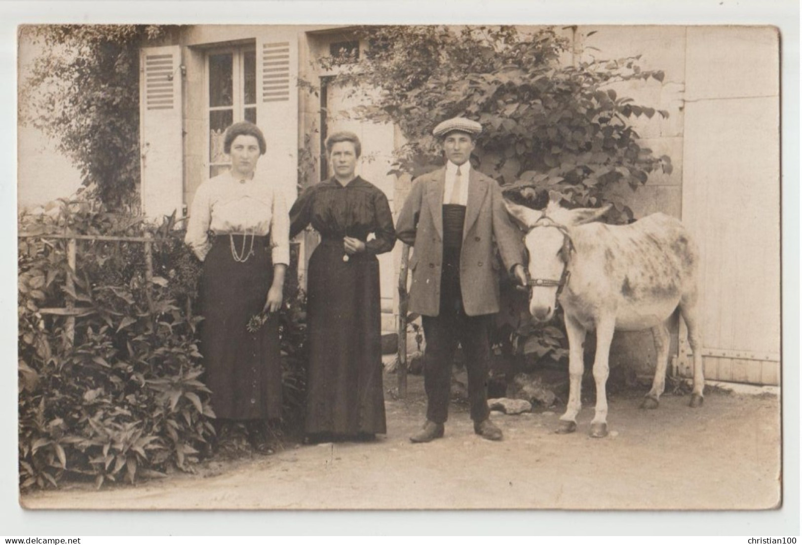 CARTE PHOTO D'UN  ANE TENU  AU LICOL  PAR UN JEUNE HOMME ENDIMANCHE - ANE AFFECTUEUX ET DOCILE - 2 SCANS - - Esel