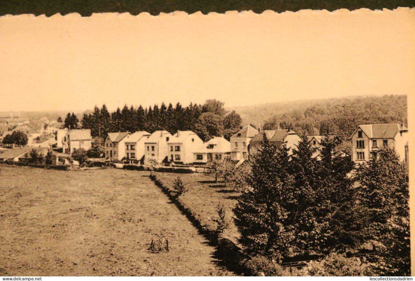 Carte Postale Lacuisine Vue Des Champs Et De La Route Principale - Semois - Florenville