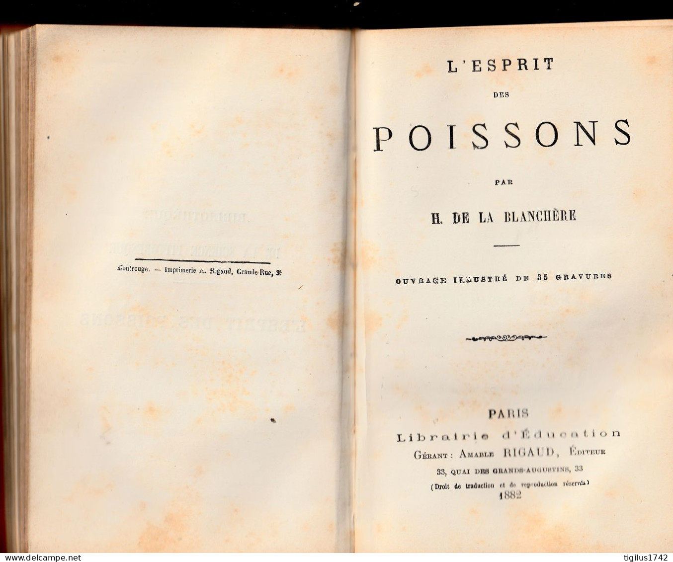 Bibliothèque De La Science Pittoresque. 4 Titres Reliés Dans Un Même Volume Roger, De La Blanchère...1882 à 1885 - 1801-1900