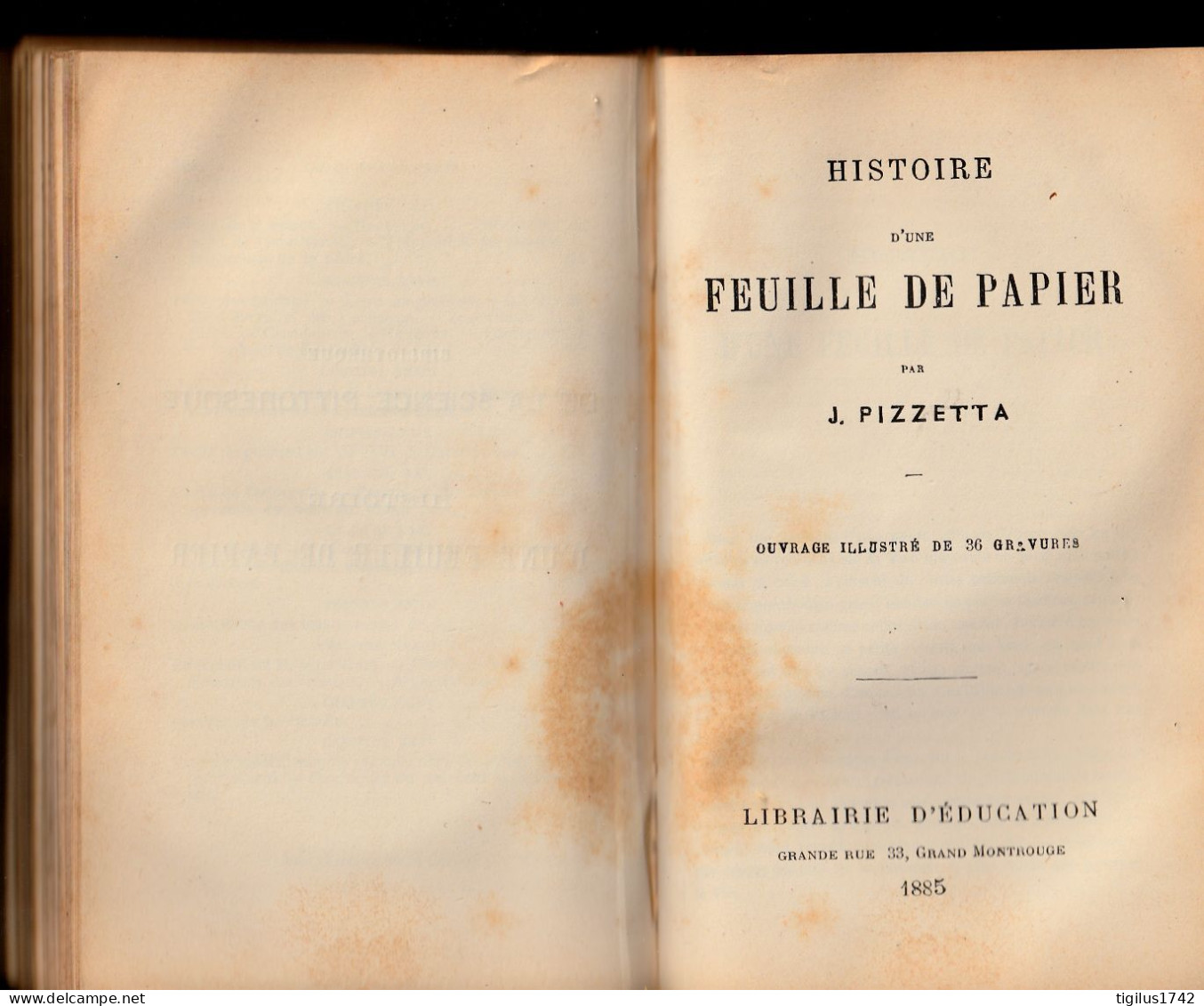 Bibliothèque De La Science Pittoresque. 4 Titres Reliés Dans Un Même Volume Roger, De La Blanchère...1882 à 1885 - 1801-1900