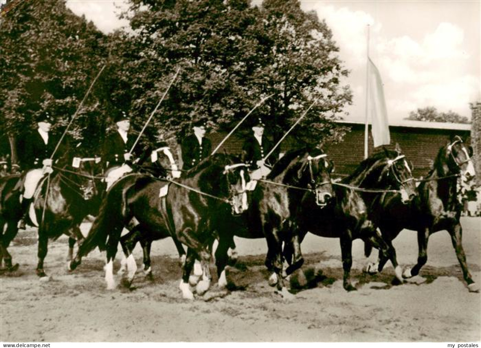 73895218 Warendorf Hengstparade Landgestuet Warendorf - Warendorf