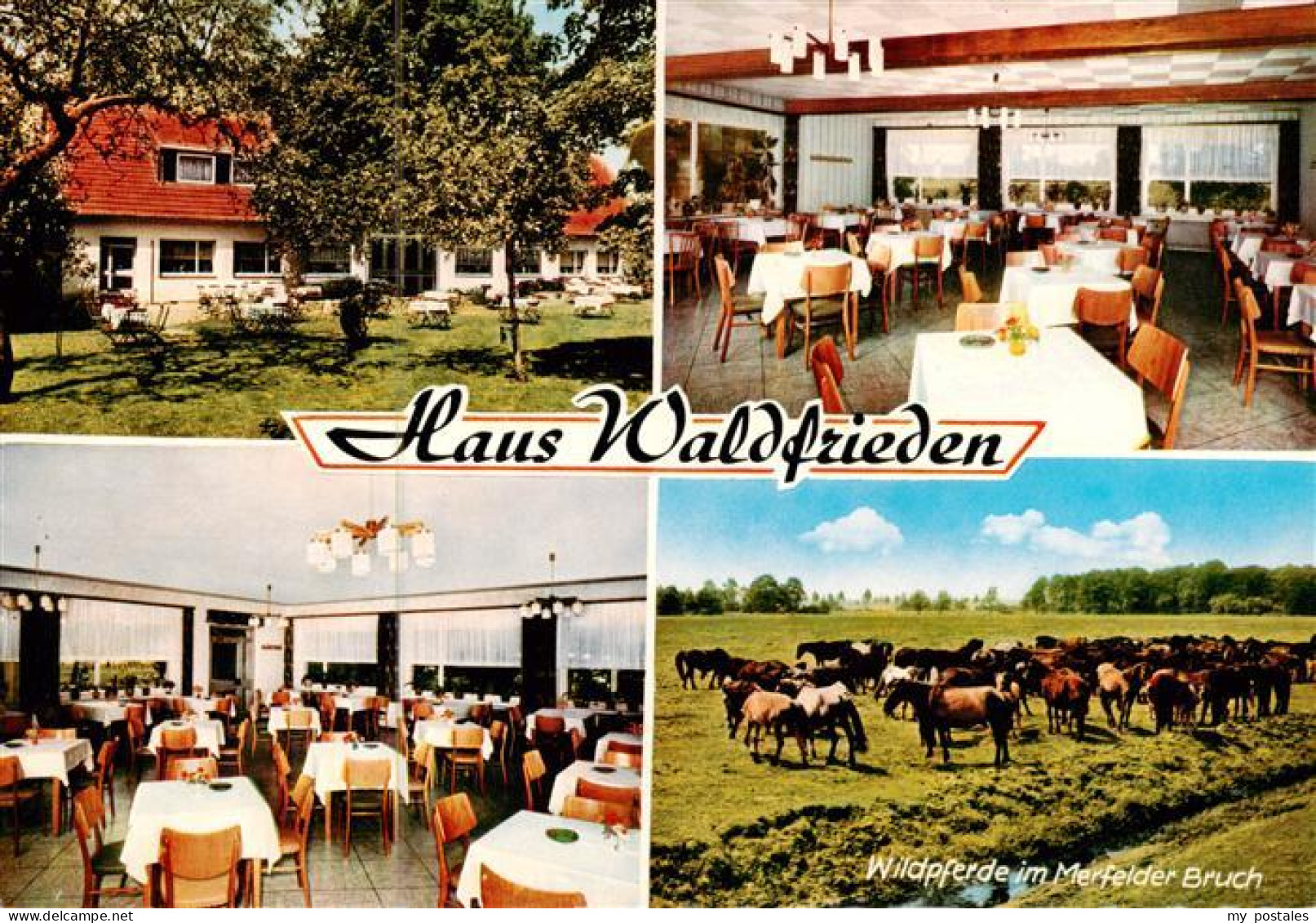 73895094 Duelmen Gasthaus Waldfrieden Am Wildpark Gastraeume Wildpferde Duelmen - Duelmen