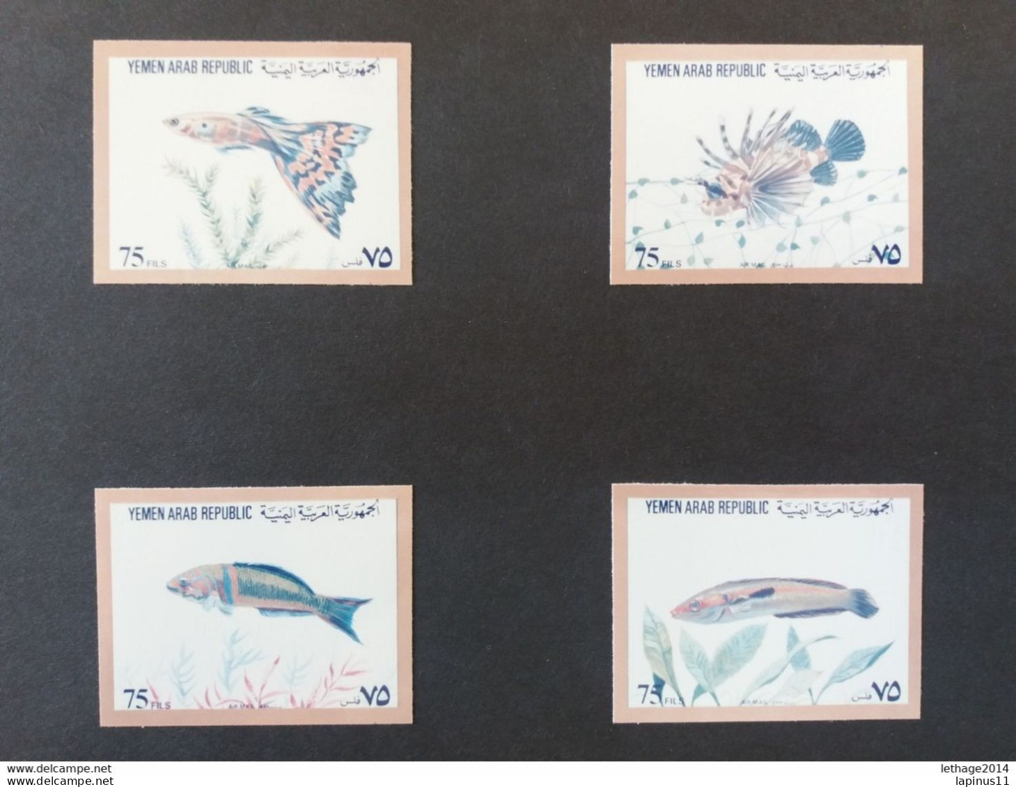 YEMEN يمني PROOFS SET CORRECT Chromaline PROOFS MARINE FAUNA THEME From Ueberreuter NOT ISSUED UNIQUE - Poissons