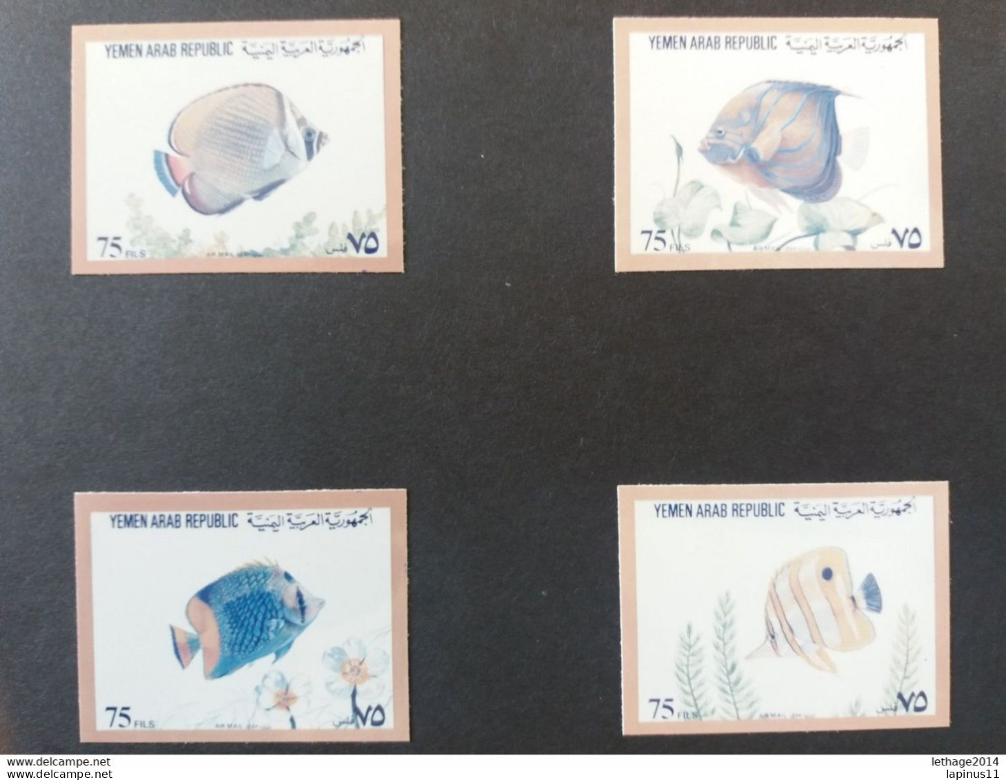 YEMEN يمني PROOFS SET CORRECT Chromaline PROOFS MARINE FAUNA THEME From Ueberreuter NOT ISSUED UNIQUE - Peces