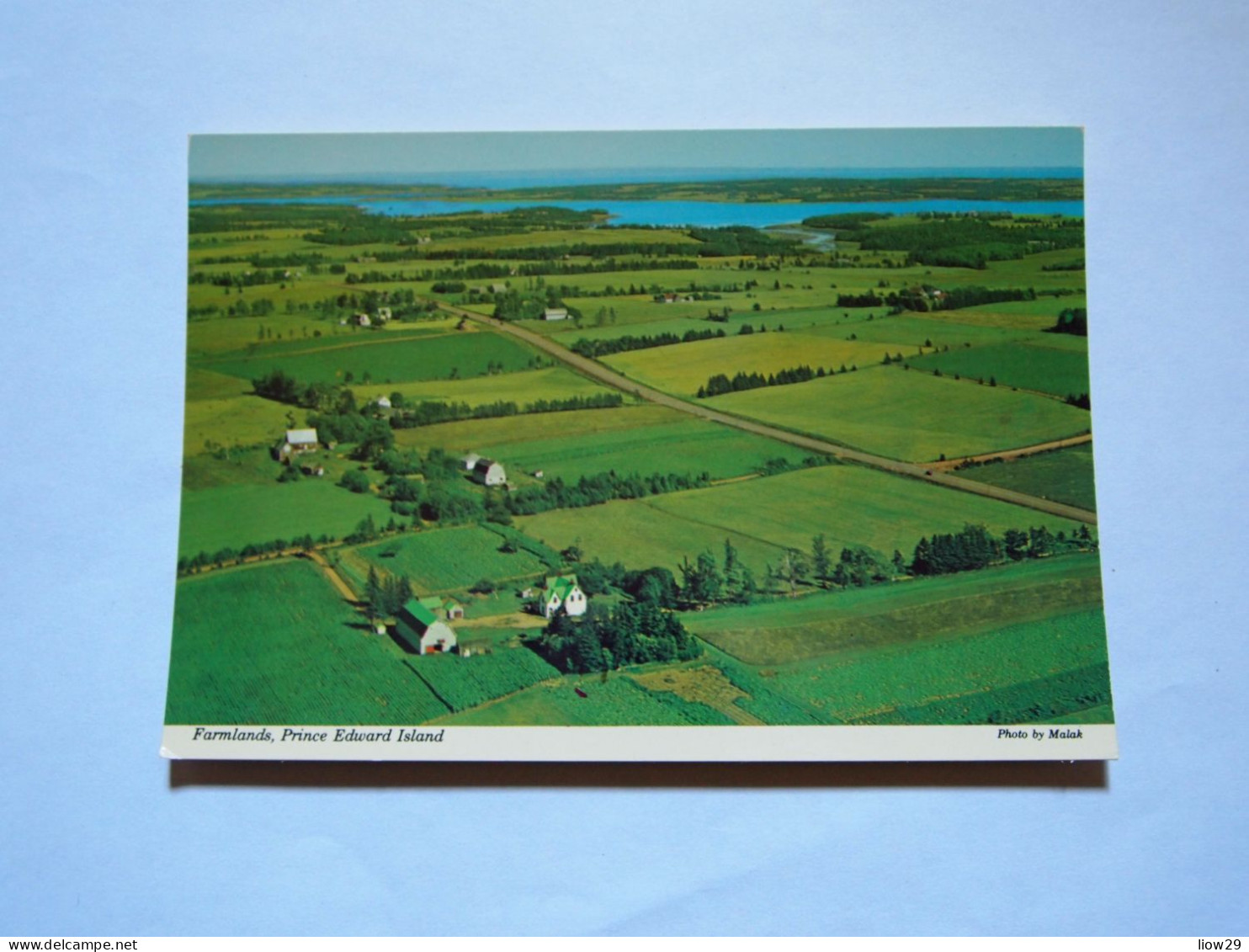 CPA Canada Prince Edward Island Million Acre Farm - Other & Unclassified