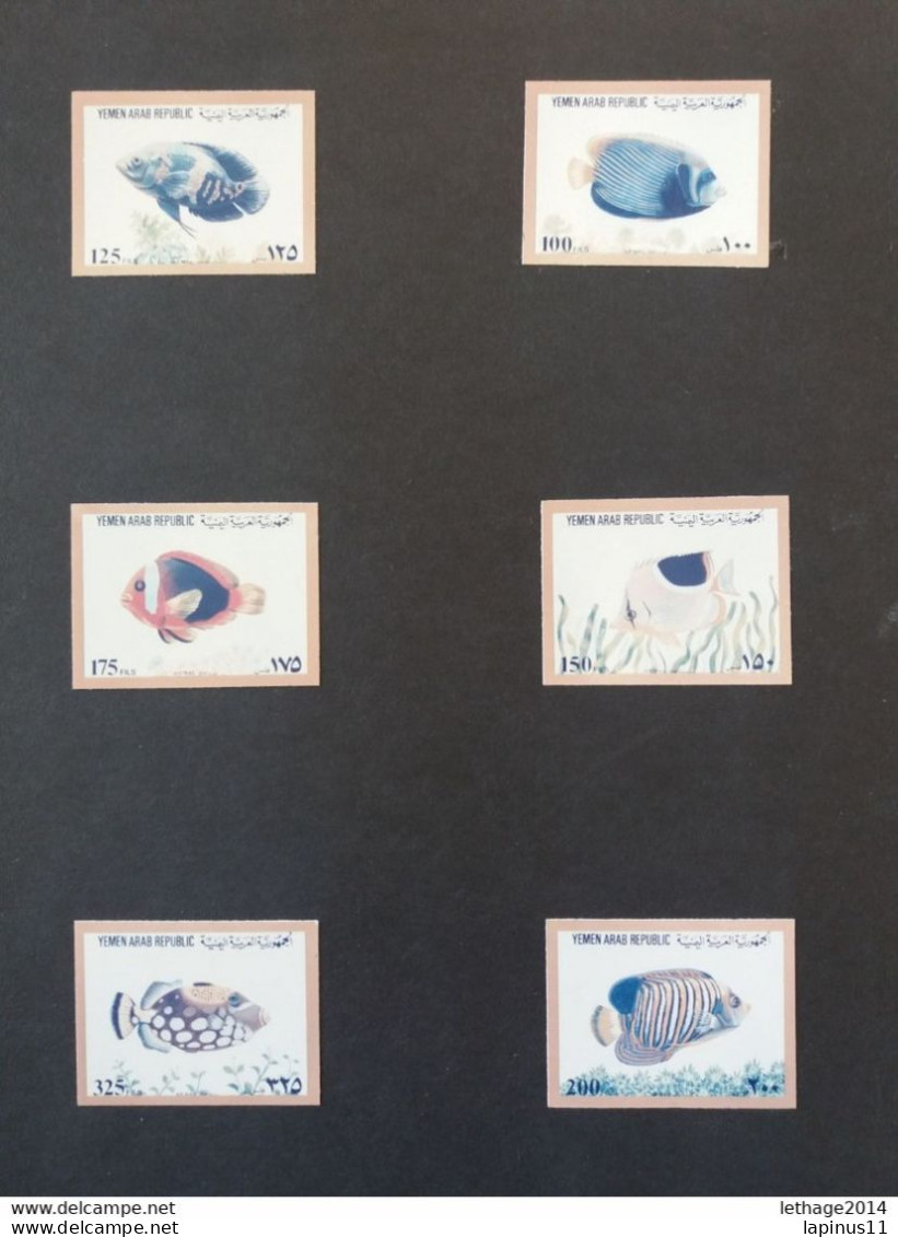 YEMEN يمني PROOFS SET CORRECT Chromaline PROOFS MARINE FAUNA THEME From Ueberreuter NOT ISSUED UNIQUE - Peces