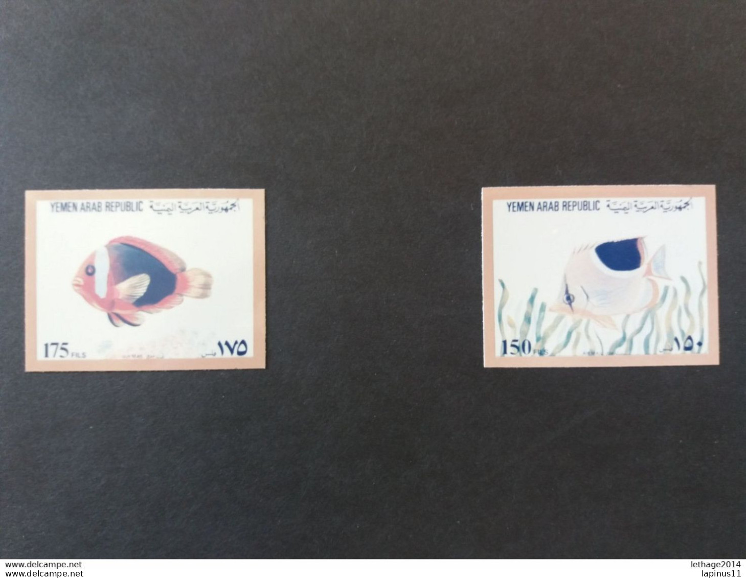 YEMEN يمني PROOFS SET CORRECT Chromaline PROOFS MARINE FAUNA THEME From Ueberreuter NOT ISSUED UNIQUE - Fishes