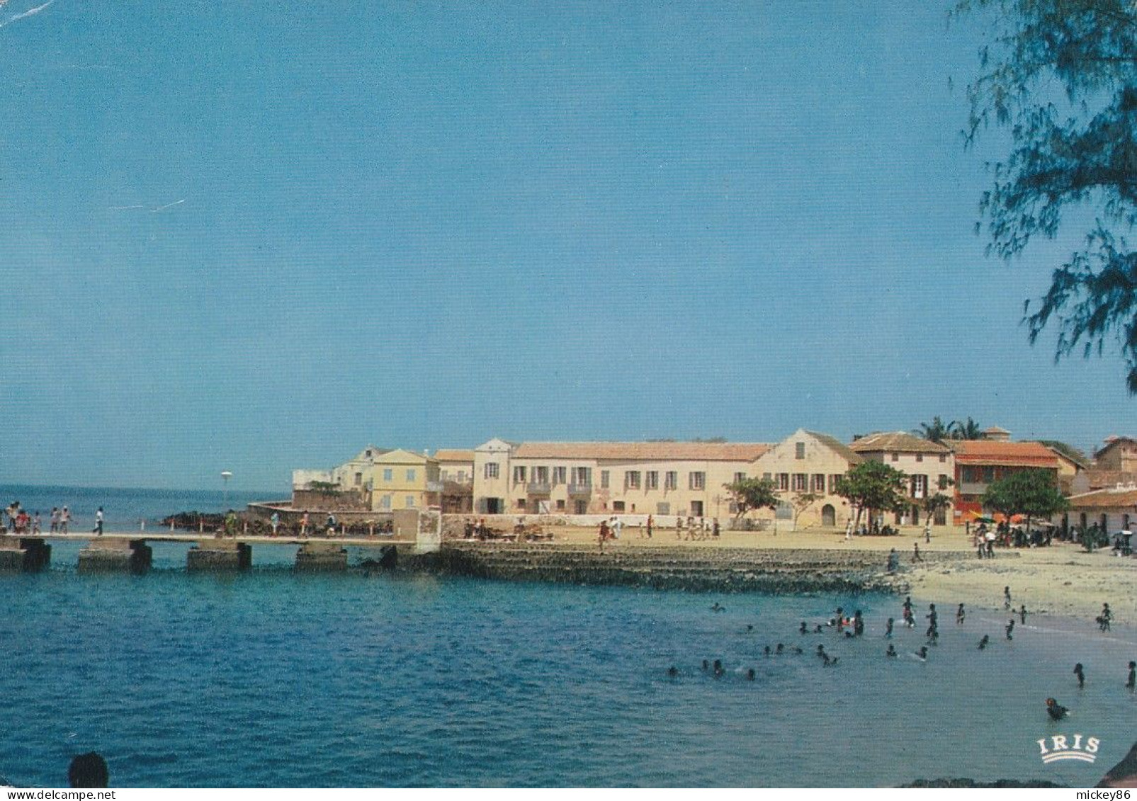 Sénégal -- GOREE ---Vue Générale - Sénégal