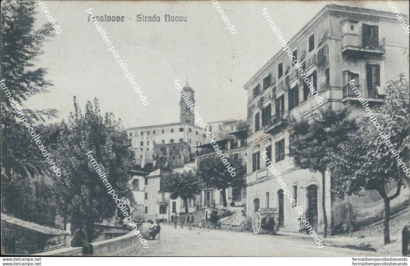 Al664 Cartolina Frosinone Citta' Strada Nuova 1923 - Frosinone