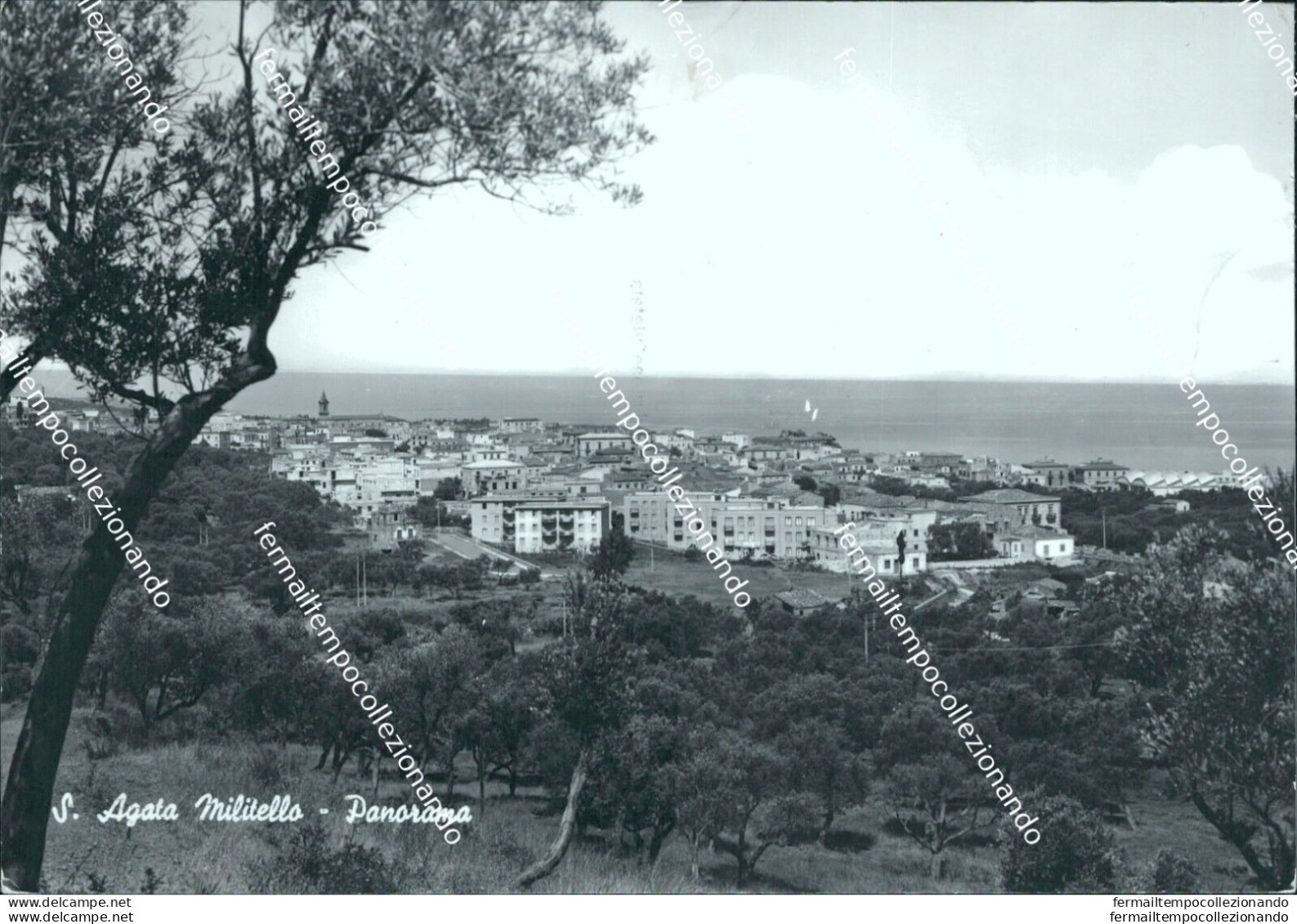 Bm623 Cartolina S.agata Militello Panorama Provincia Di Messina - Messina