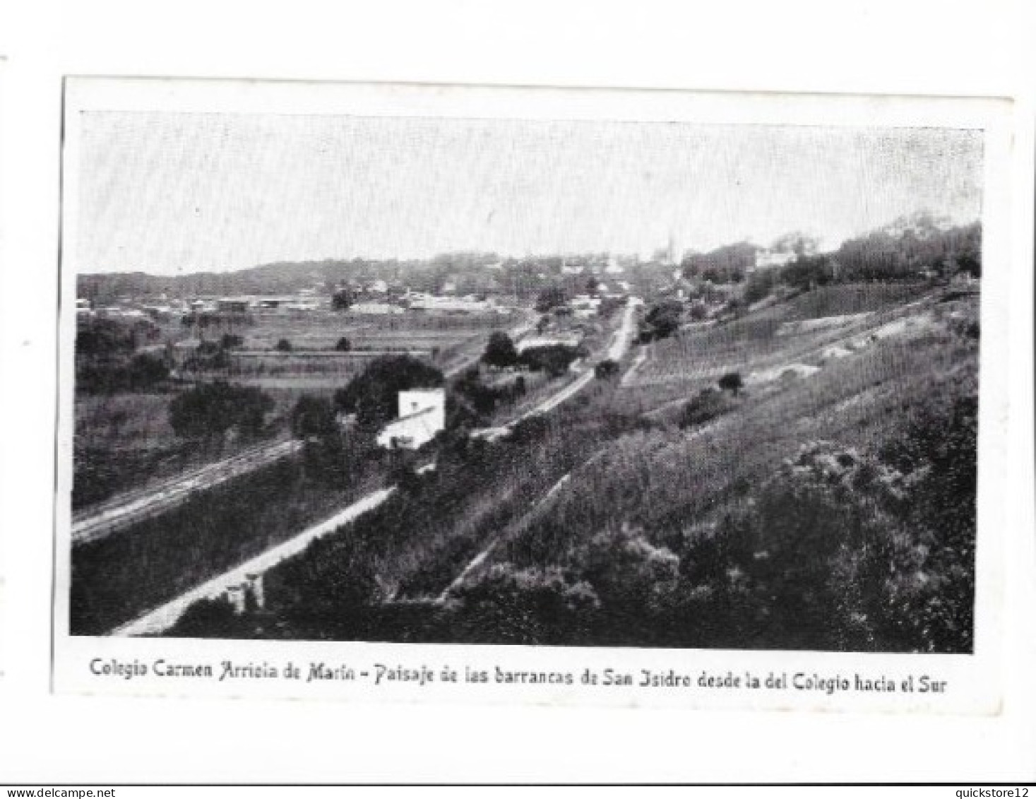 Colegio Carmen Arriola De Marín - Paisaje De Las Barrancas De San Isidro  - Argentina   6844 - Scuole