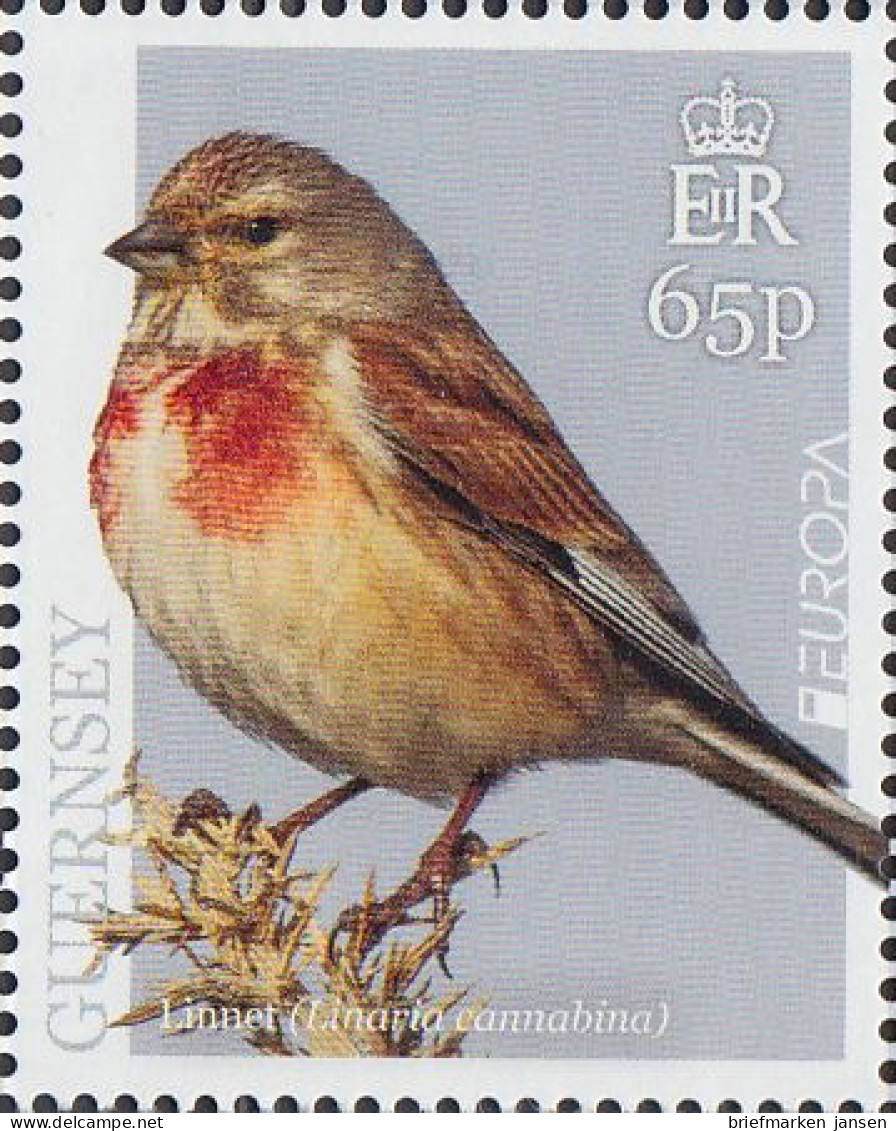 Guernsey MiNr. 1726 Europa 2019, Einheimische Vögel (65) - Guernsey