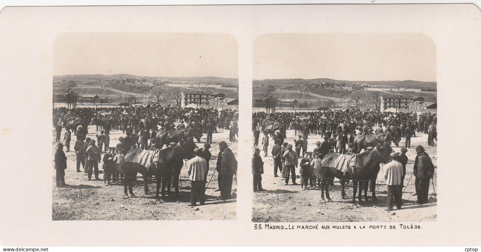 Madrid , Le Marché Aux Mulets Le Porte De Tolède  Photo 1905 Dim 18 X 9 Cm - Madrid