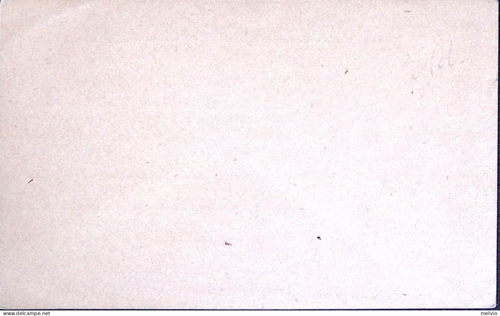1920-Cartolina Postale Leoni C.15 Mill.20 Nuova - Ganzsachen