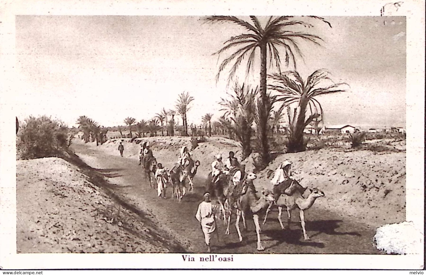 1935-LIBIA Via Nell'Oasi Viaggiata Affrancata Ordinaria C.10 - Libia