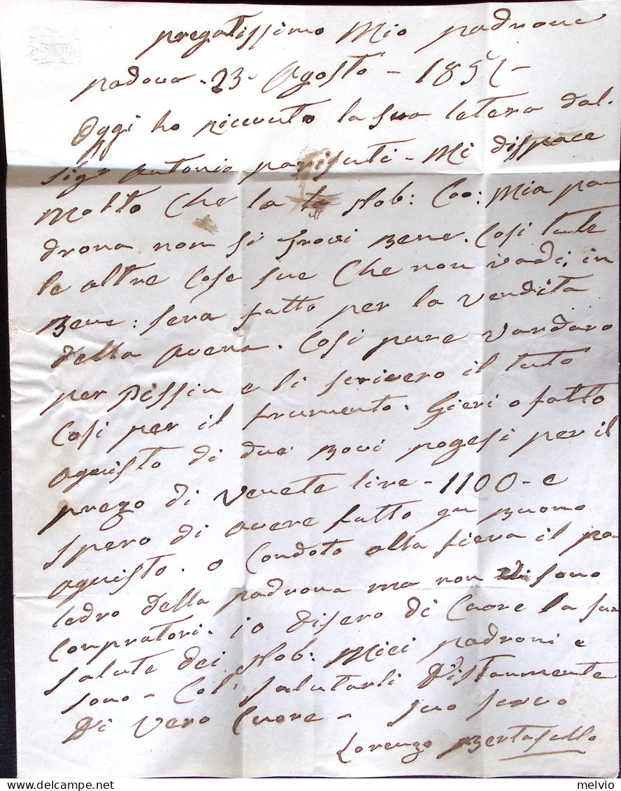 Lombardo Veneto-1852 15c. Un Margine A Filo Su Lettera Completa Di Testo, Padova - Lombardo-Vénétie