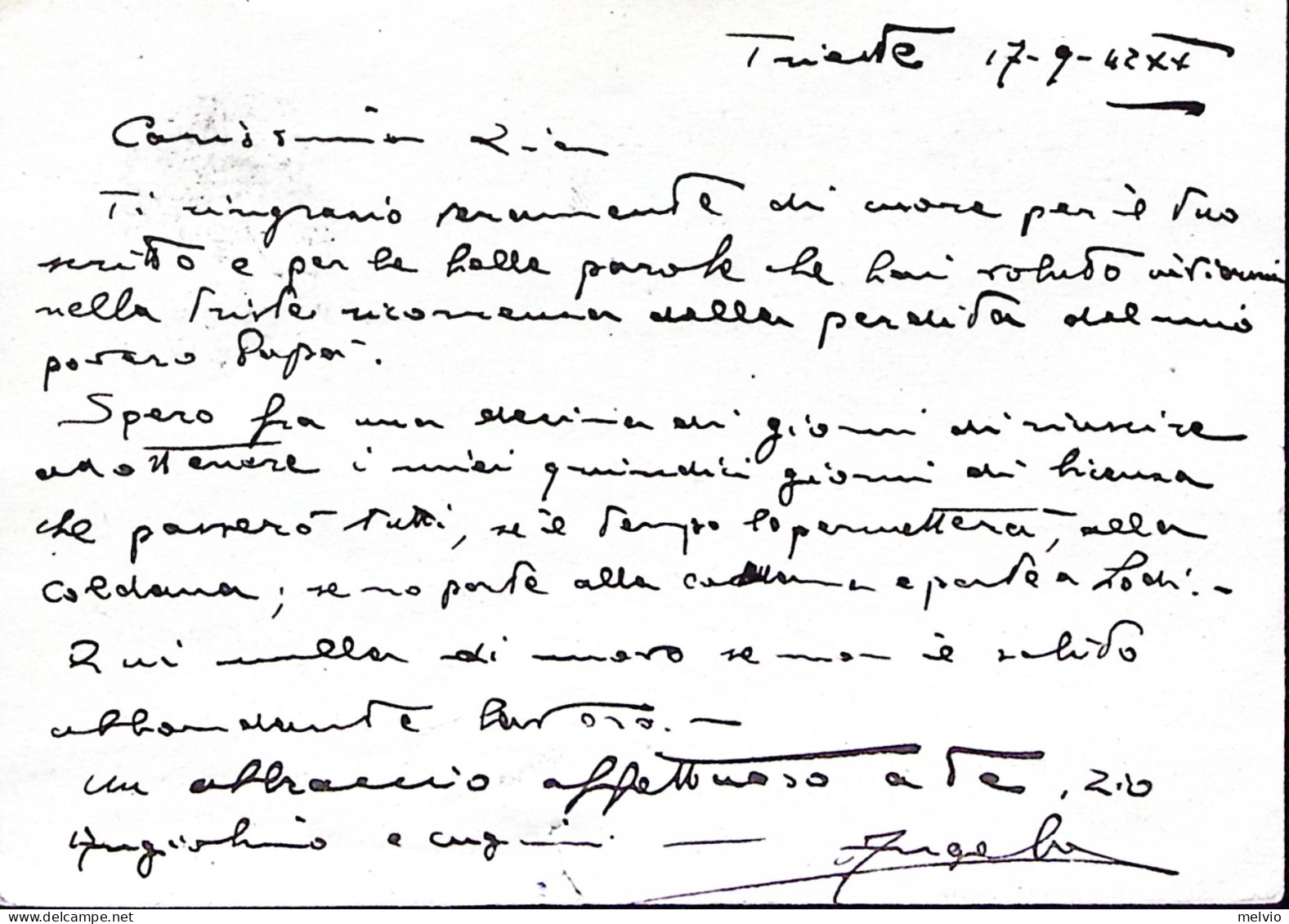 1942-CAPITANERIA PORTO TRIESTE Manoscritto, Su Cartolina Franchigia (17.9) - Guerra 1939-45
