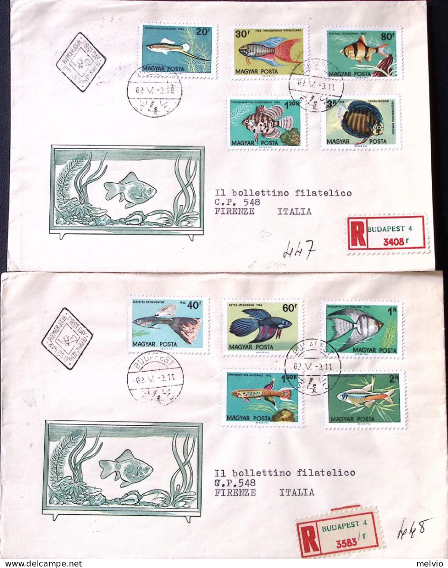 1962-Ungheria Pesci Ornamentali Serie Cpl. (1495/4) Su Due Fdc Raccomandate Per  - FDC