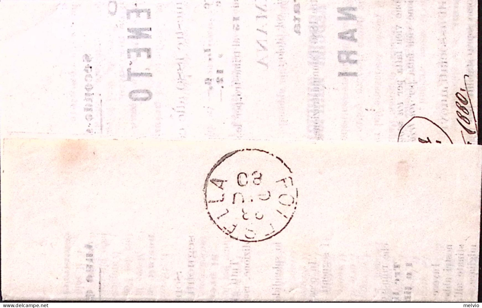1880-SERVIZIO Sopr. C. 2/0,05 (30) Su Stampe Venezia (22.6) - Storia Postale