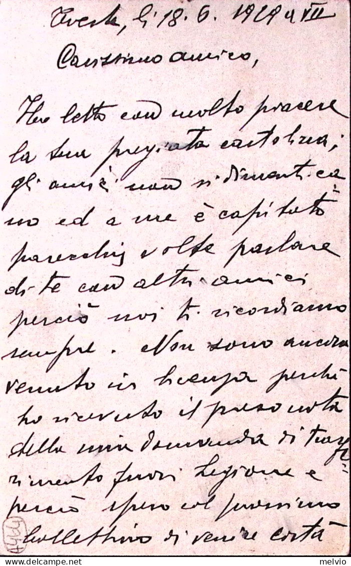 1929-TRIESTE C.2 + Usate Pacchi Postali Urgenti Annullo A Targhetta (18.6) Su Ca - Entiers Postaux